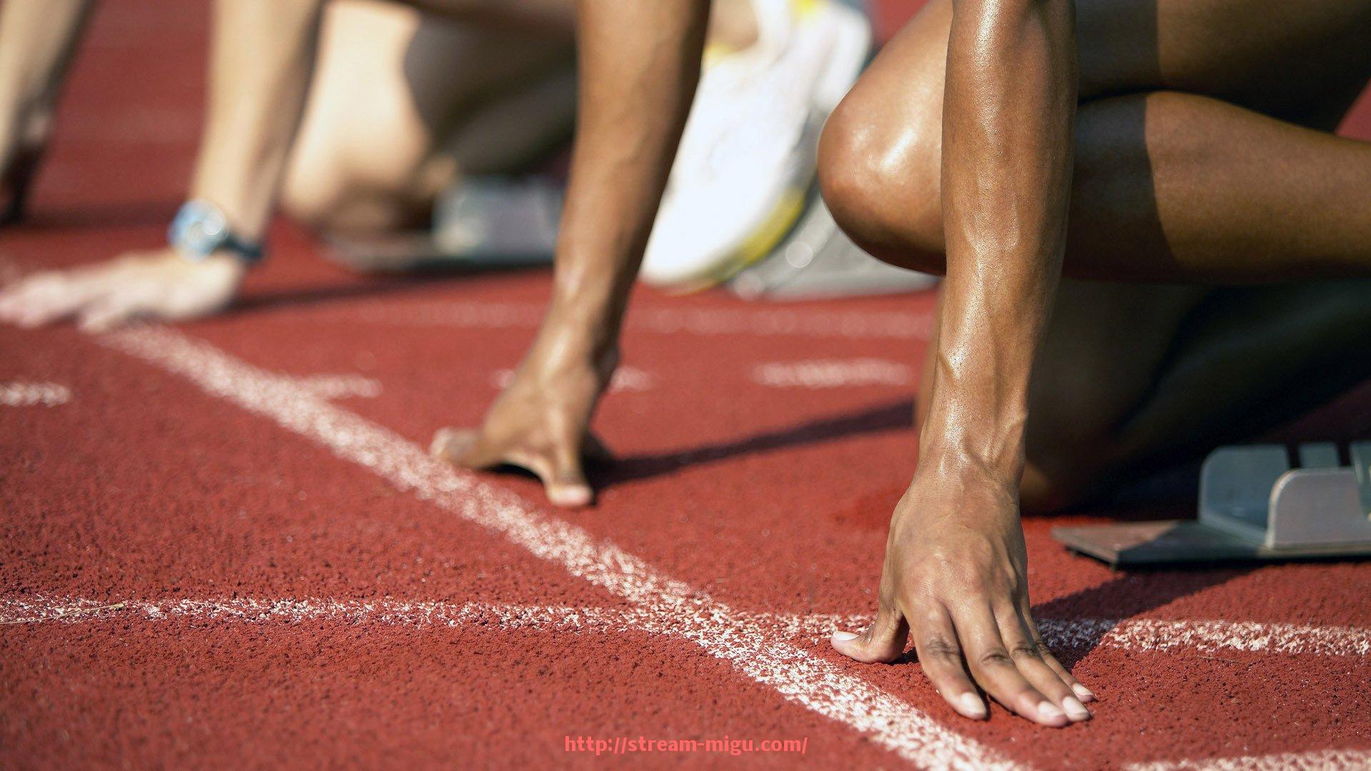 咪咕体育直播-鲁能精神传承：从中超元年到新时代的坚守与突破