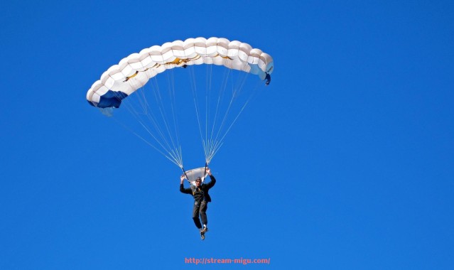 咪咕体育直播-欧冠参赛球队数量及各队实力分析详尽报告
